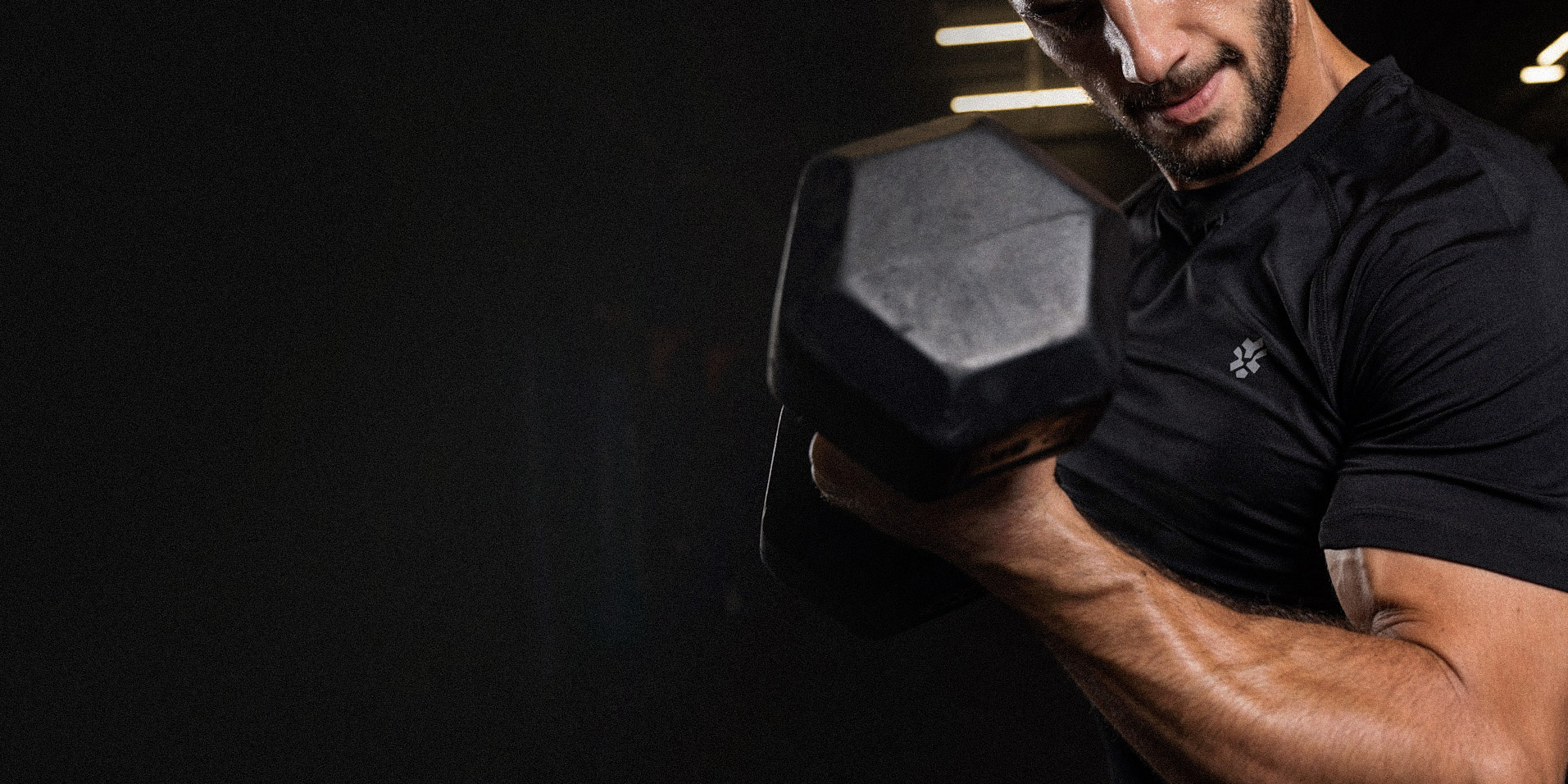 Polleo Evolution Banner