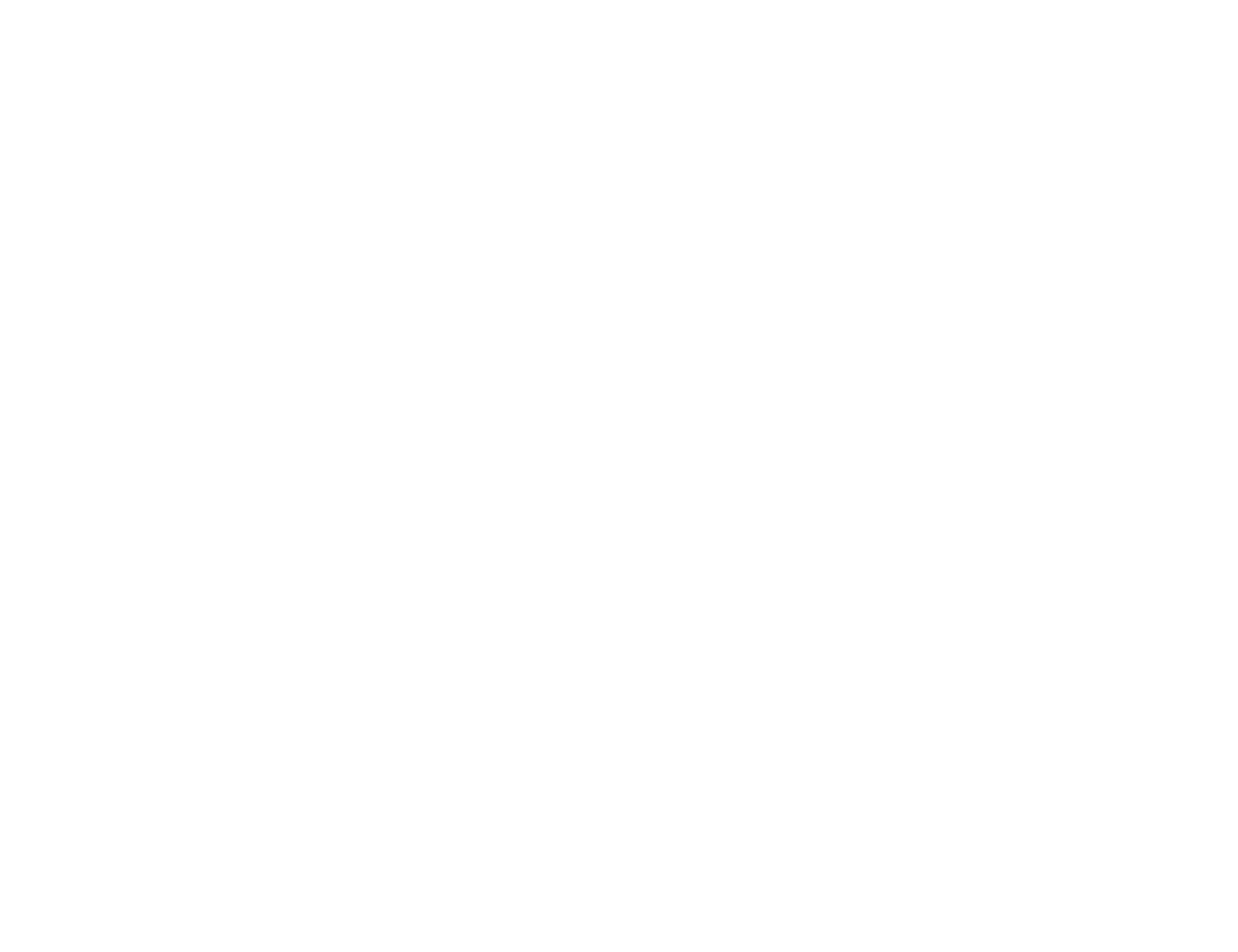 Polleo Sport Logo
